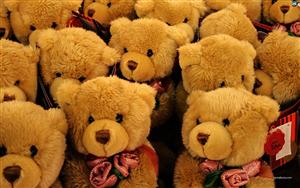 Teddy Bears